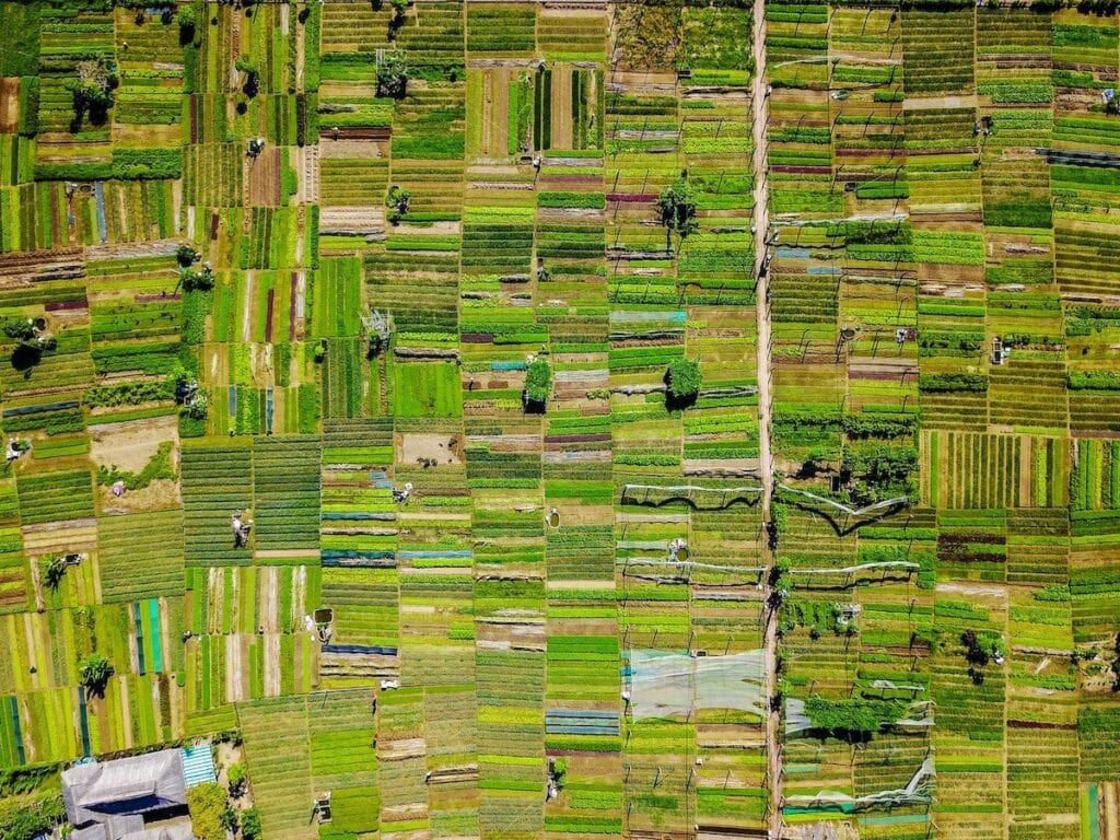 fields aerial view