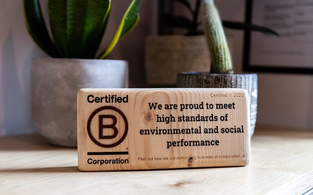 Missing out on B Corp: How to avoid an unsuccessful submission