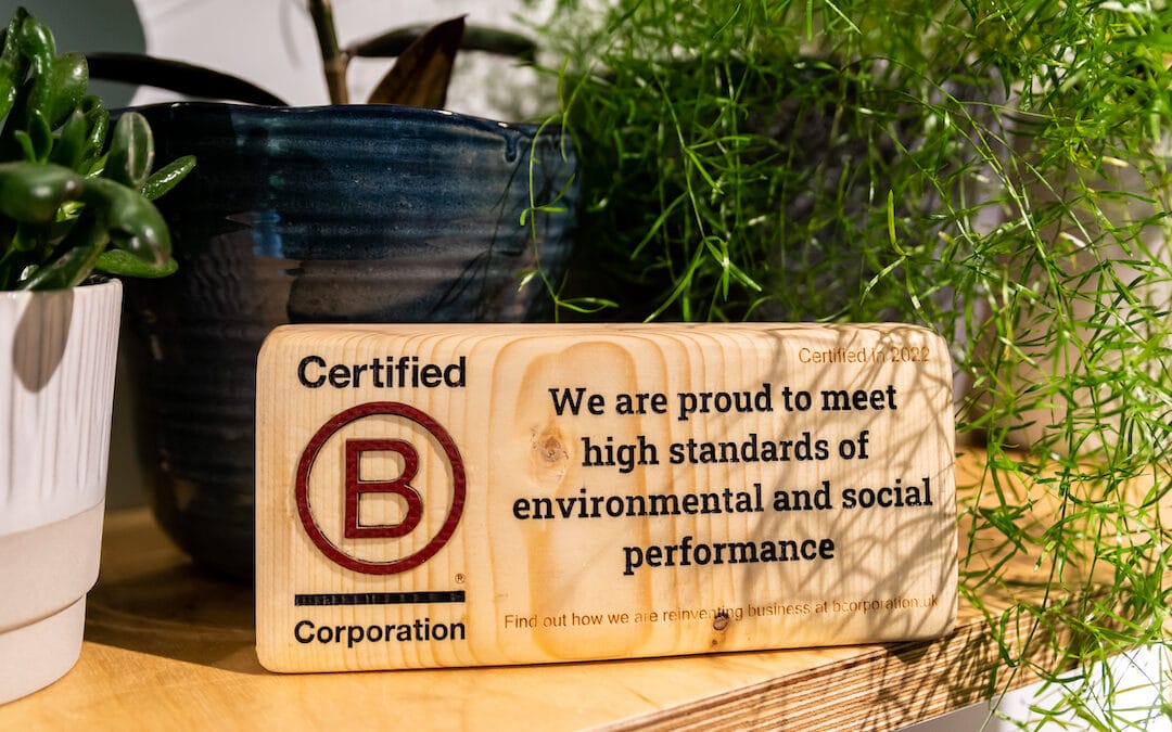 Celebrating B Corp Month 2023: Stories from B Corps who Go Beyond