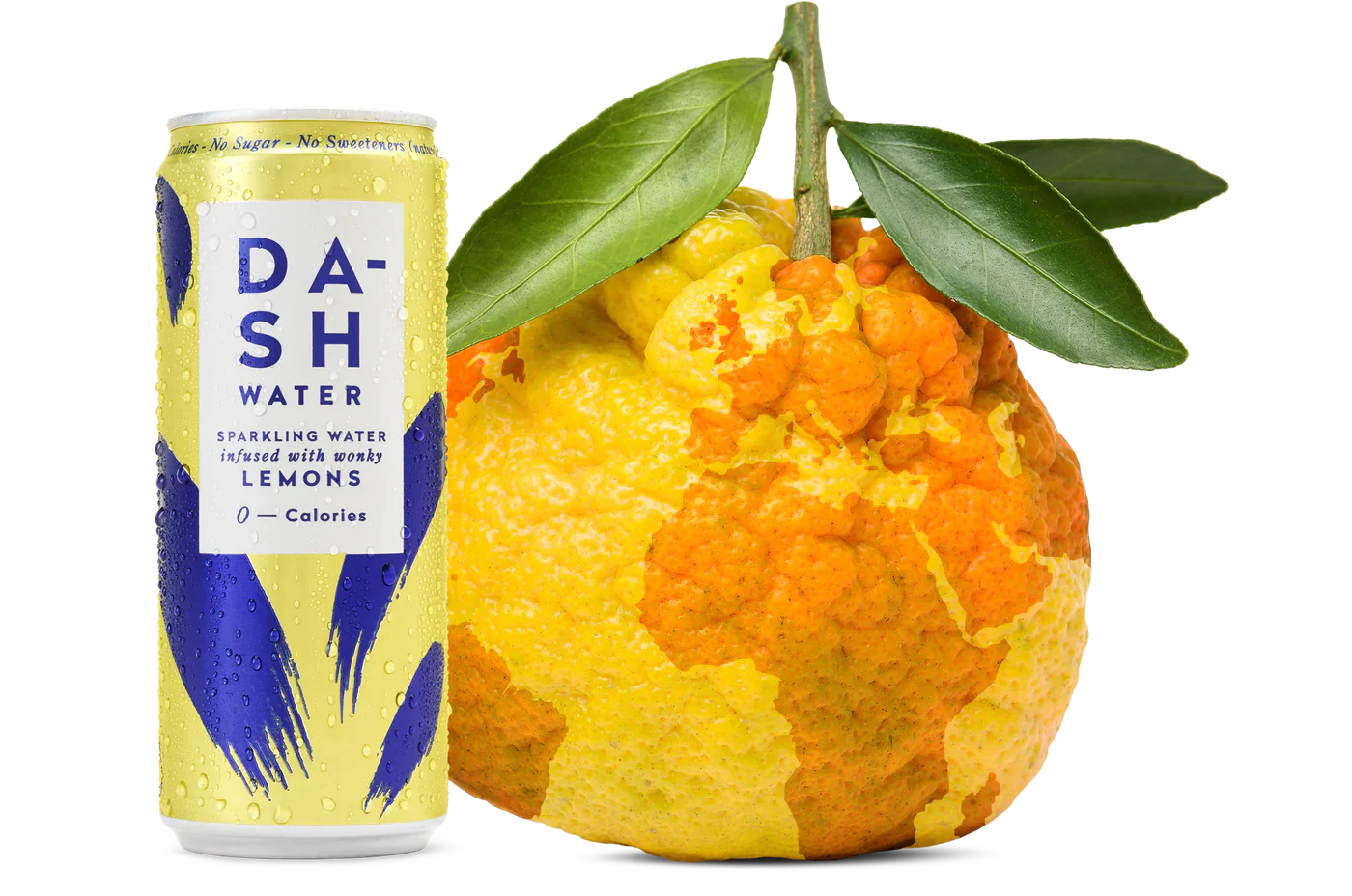 Tailored Coaching DASH Water