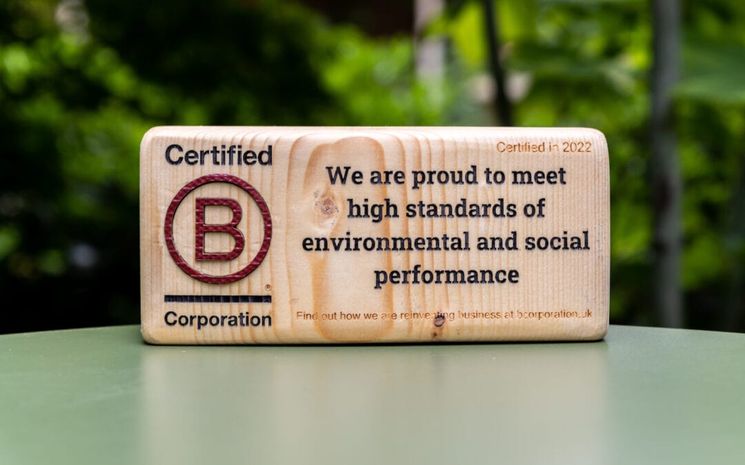 B Corp Submission With Confidence: Seismic’s BIA Review