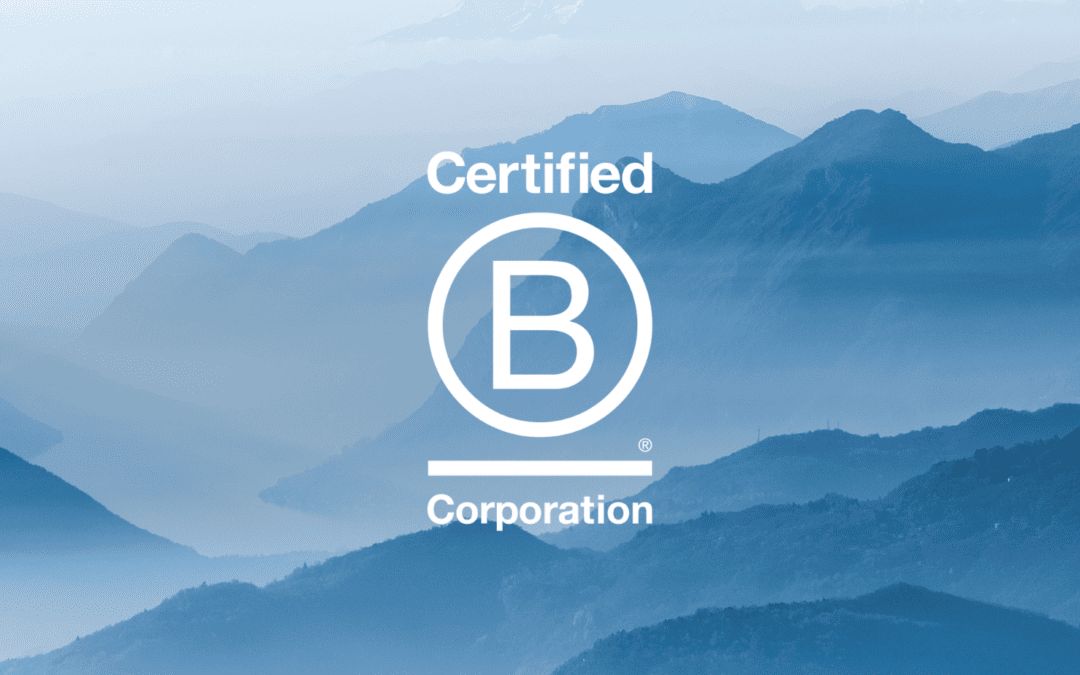 Are You Ready To B Corp?