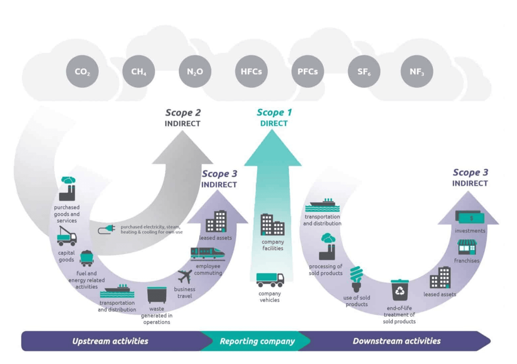 Carbon Infographic