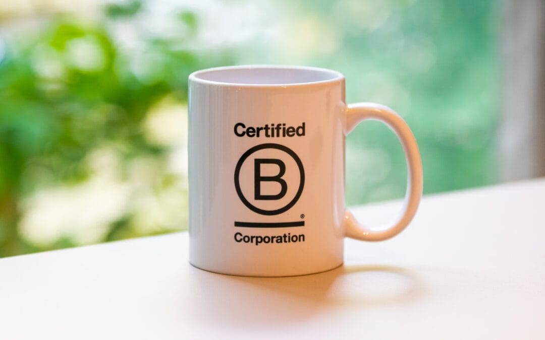 Navigating the Future of B Corp: Unpacking the Evolution of Standards