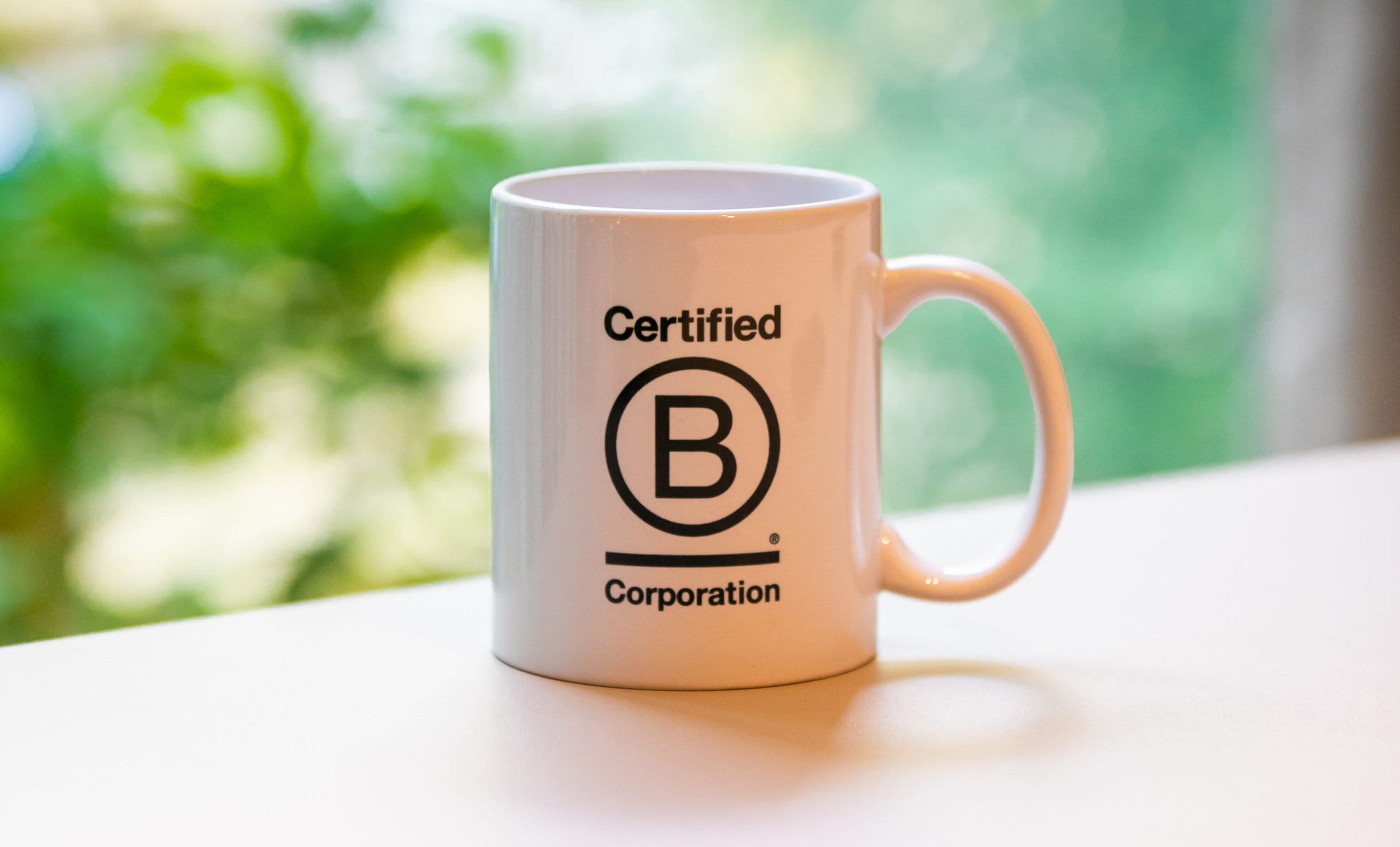 B Corp Standards