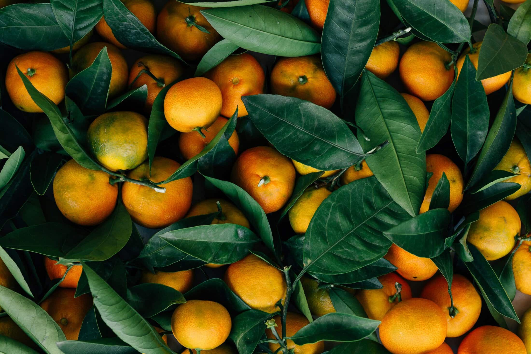Food and Drink Sustainability FAQs