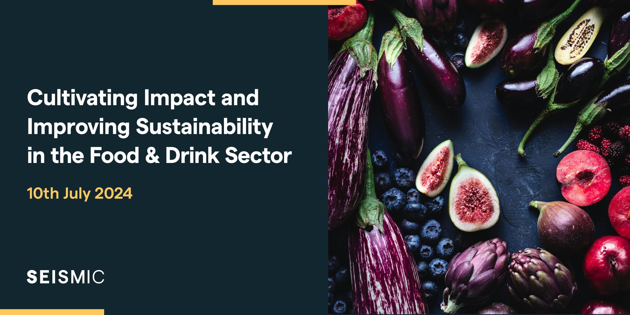 Sustainability in the Fashion Industry