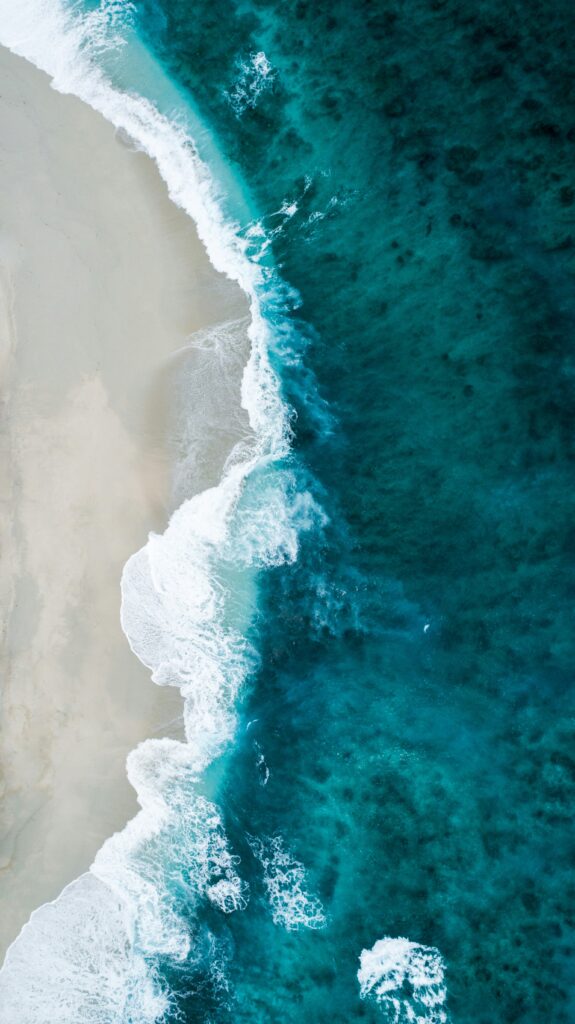 The Seismic Evolution of B Corp Certification: Why Now is the Time to Act