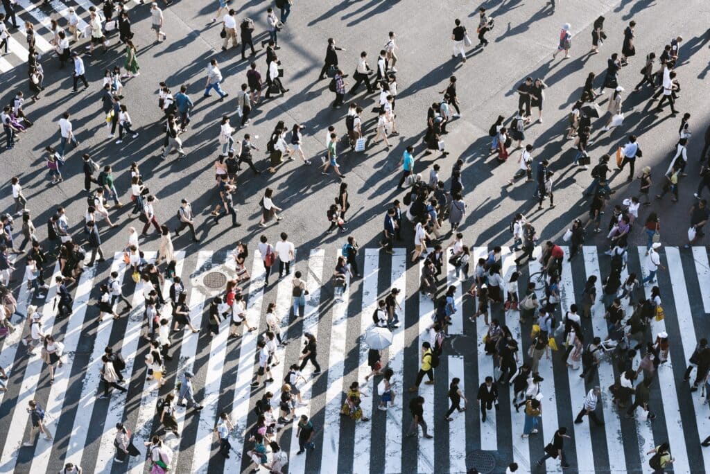 Sustainability as a Growth and Resilience Catalyst in Professional Services