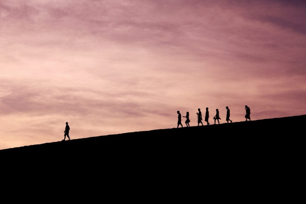 Seismic enters next phase of growth with senior leadership appointments